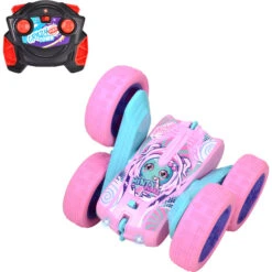 Dickie RC Berry Shaker (1:28)