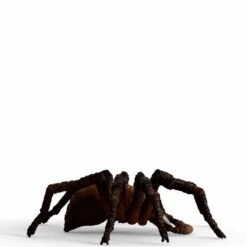 Schleich Wizarding World Aragog, Spielfigur -Spielzeug Verkäufe Schleich Wizarding World Aragog Spielfigur@@1908529 2
