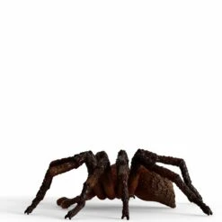 Schleich Wizarding World Aragog, Spielfigur -Spielzeug Verkäufe Schleich Wizarding World Aragog Spielfigur@@1908529 4